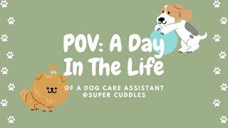 POV: A Day In The Life Of A Dog Care Assistant @ Super Cuddles - A Mini Vlog 