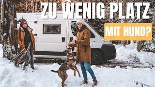 VANLIFE mit HUND | Herausforderungen mit Hund auf Reisen | Vanlife Europe Ep #27