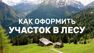 Лесной Участок: подробная инструкция Как оформить большой участок в лесу. Аренда лесного участка