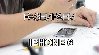 Разбираем iPhone 6. Как избежать дорогостоящего ремонта.