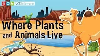 Where Plants and Animals Live