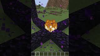 Nether Portal Experiment