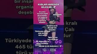 KuşlarHakkında Bilgiler-ömer#keşfetbeniöneçıkar#naberyoutube#keşfet#buvideotutsun#tutsunartık#fanboy