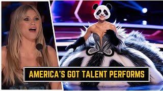 American Got Talent Animal Magic Show with a Panda | AGT FUSION PERFORMANCE