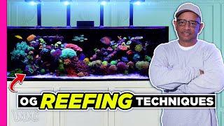 Mastering Reef keeping: 20 Years of Simple Techniques