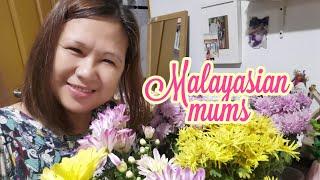 Malaysian Mums - Paano Mag-alaga at Magpadami