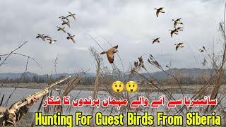 Duck Hunting In Pakistan | Khabootar Ka Shikar ️ ️ | Waterfowl Hunting 2025 | Murghabi Ka Shikar