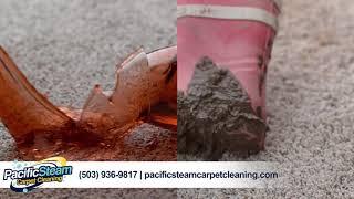 Pacific Steam Carpet Cleaning | Carpets & Rugs in Portland