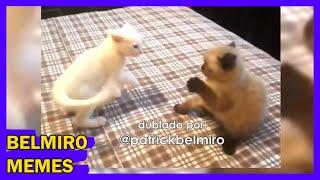 Belmiro Memes: Dublagens de animais engraçados - Episódio 163