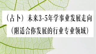 塔羅占卜: 未来3-5年学事业发展走向（附你适合的行业专业领域 ）Timeless