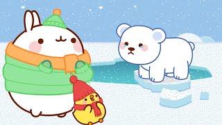 Molang and Piu Piu: Baby Polar Bear is in Danger ‍️