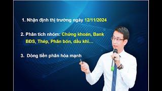 Nhận định thị trường ngày 12/11/2024. VNINDEX – Xu hướng giảm tiếp diễn, dòng tiền phân hóa mạnh