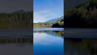 Spring is Close! - Serene Scenes