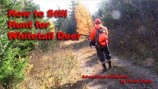 How to Still Hunt Whitetail Deer - Updated