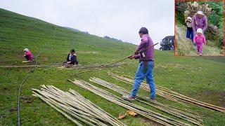 Himalayan life of Nepal || shepherd life of Nepal || @manjitacooking
