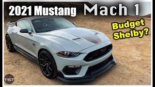 Mustang Mach 1: Best Mustang GT Ever? - Two Takes