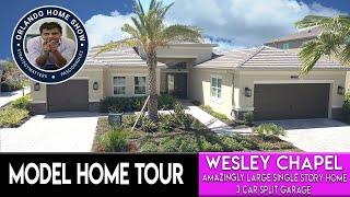 Inside A Beautiful Builder Model In A Gas/Gated Community In Wesley Chapel | Community With CDD!