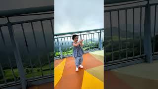 Coco took Dad to play on the glass bridge!#adorably #enrichment #funny