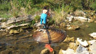 Sea of Surprises: Teenager's Simple Expedition Uncovers Massive Clam Loaded with Pearls