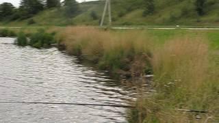 2. Беларусь, Гродненское море (водохранилище) / Belarus, Grodno Sea (reservoir), July 2014