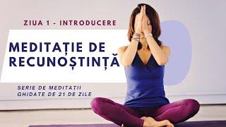 MEDITAȚIE GHIDATĂ DE RECUNOȘTINȚĂ - ZIUA 1 (INTRODUCERE) / SERIE DE MEDITAȚII GHIDATE DE 21 DE ZILE