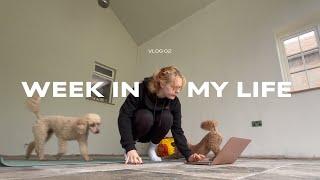 week in my life (matcha, back home & uni prep)