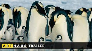 DIE REISE DER PINGUINE | Trailer / Deutsch | Luc Jacquet | ARTHAUS