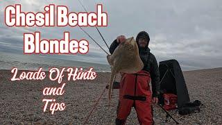 Chesil beach blondes. UK Beach fishing