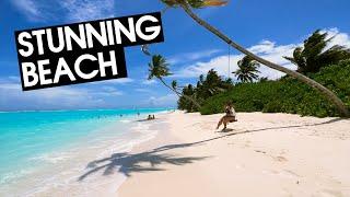 Thoddoo Maldives | Beach Walk|  [4k] Binaural Audio