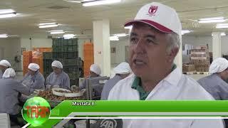 Kuru incir üreticisini sevindirdi