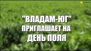 Приглашение на ежегодный День поля от "Владам-Юг"