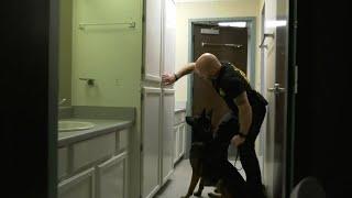 K9 Training - TROY TrojanVision News