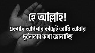 হে আল্লাহ একমাত্র আপনার কাছেই আমি আমার দুর্বলতার কথা জানাচ্ছি | অডিও@Baseera থেকে | মুত্তাকী | #দোয়া