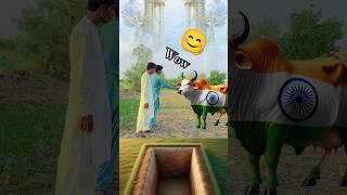 ALHUMDULILLAHI choose hilal•trust in Allah|| ️#usa #shortsvideo #islamicvfx#trend #vfx #special