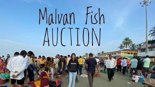 मालवण मासे लिलाव | Malvan fish auction | Malvan fish market | Sindhudurg | Devbag