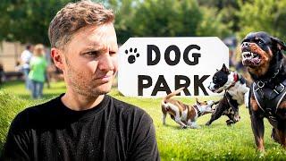 5 Major reasons why dog parks are dangerous- Dog Training Tips