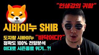 시바이누 SHIB [긴급] 도지코인, 시바이누 바닥은 "어디쯤?" 정확도 100% 전망분석, 이대로 시즌종료 위기 올까..? #코인시황