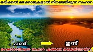 Ancient Sahara Was A Green Forest | What Happened Then? | Facts Malayalam | 47 ARENA