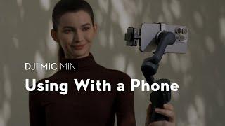 DJI Mic Mini｜Using With a Phone