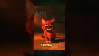 Puss in Boots #shorts #short #amj #fantasymovies #moviebreakdown