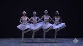 Danza de los pequeños cisnes