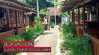 DESA SUKU OSING SUKU JAWA UJUNG TIMUR || DESA ADAT OSING KEMIREN BANYUWANGI