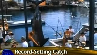 Woman catches 1,000 pound fish