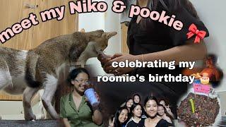 My roomie's birthday || pookie ko vetenirary k pass lejana para||friends