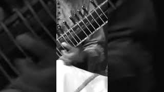 Tānkāri in Drut Teentāla | Rāga Alhaiyā Bilāwal by Pt. Manu Kumār Seen #Sitar #Music #Hindusthani