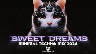 Insane ianami - Sweet Dreams | Mininal Techno Mix 2024 [Dj Set Live 04]