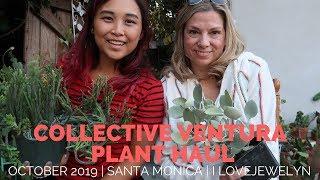 California Plant Haul with my plant bestie | November 2019 | ILOVEJEWELYN|