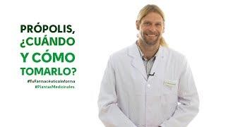 Própolis, cuándo y cómo debemos tomarlo. Tu Farmacéutico Informa - #PlantasMedicinales