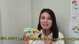 Солонгос хэл #25 Аяга таваг угаах ажил l KHULAN korea