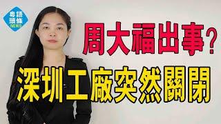 周大福突發！深圳工廠突然關閉？黃金大漲，周大福卻扛不住了。金價大幅波動重創黃金珠寶店！#金價 #周大福 #國際金價 #周生生